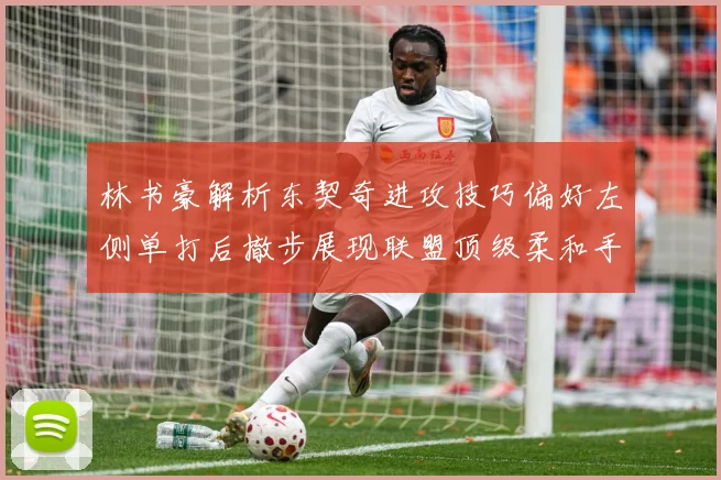 林书豪解析东契奇进攻技巧偏好左侧单打后撤步展现联盟顶级柔和手赛场复盘-深度解析